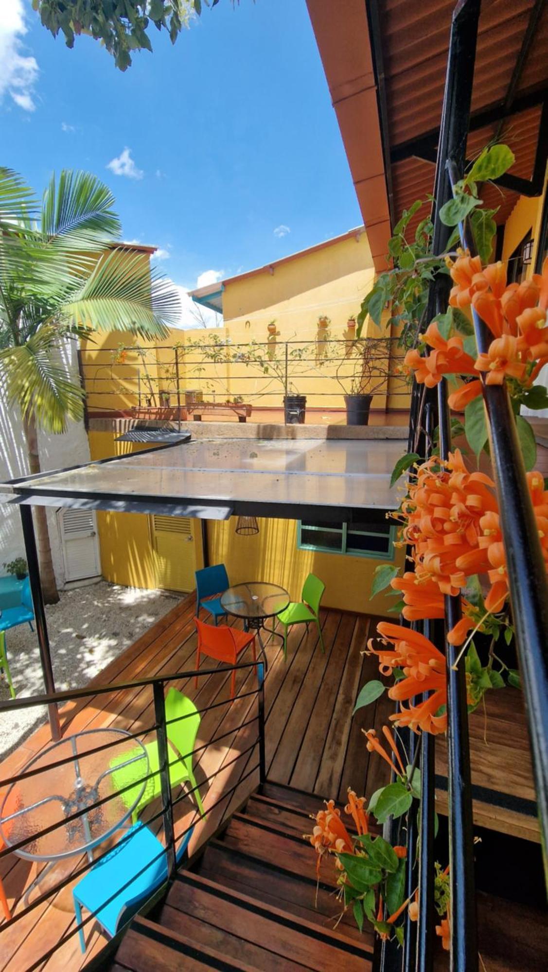Hotel La Caracola サレント エクステリア 写真