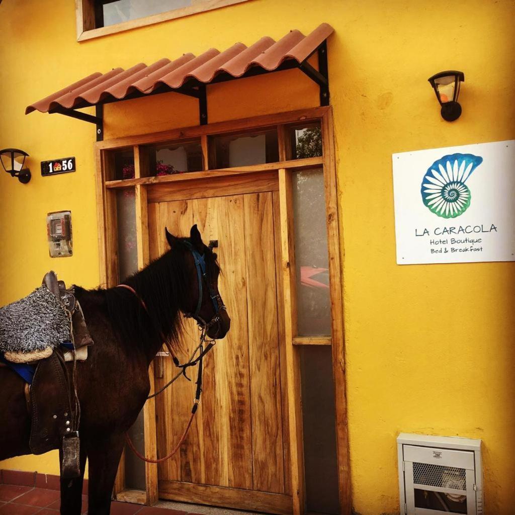 Hotel La Caracola サレント エクステリア 写真